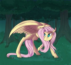 Size: 2048x1868 | Tagged: safe, artist:silentwulv, fluttershy, g4, female, solo