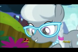 Size: 960x640 | Tagged: safe, screencap, silver spoon, earth pony, ladybug, pony, bloom & gloom, g4, female, filly, flower, foal, glasses, letterboxing, smiling, solo