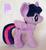 Size: 650x712 | Tagged: safe, twilight sparkle, alicorn, pony, g4, 4de, female, irl, mare, photo, plushie, solo, twilight sparkle (alicorn)