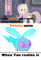 Size: 1280x1860 | Tagged: safe, artist:peternators, fluttershy, bird, pegasus, pony, twittermite, bloom & gloom, g4, the cutie map, equal cutie mark, even tweets don't make sense anymore, meme, text, twitter