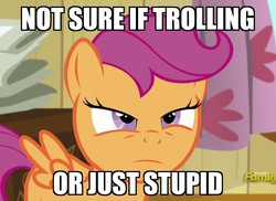 Size: 1104x805 | Tagged: safe, edit, edited screencap, screencap, scootaloo, pegasus, pony, bloom & gloom, g4, cropped, female, filly, foal, image macro, meme, narrowed eyes, not sure if, reaction image, solo