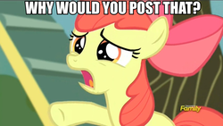 Size: 873x492 | Tagged: safe, screencap, apple bloom, bloom & gloom, g4, caption, female, image macro, meme, reaction image, solo, why would you post that