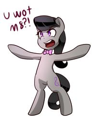 Size: 689x900 | Tagged: safe, artist:acharmingpony, octavia melody, earth pony, pony, g4, angry, backwards cutie mark, bow, bowtie, cockney, female, mare, octchavia, open mouth, reaction image, simple background, solo, u wot m8, white background