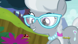 Size: 640x360 | Tagged: safe, screencap, silver spoon, earth pony, ladybug, pony, bloom & gloom, g4, animated, cute, female, silverbetes, solo, will you be my friend