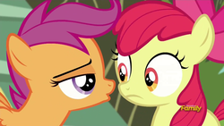 Size: 1920x1080 | Tagged: safe, screencap, apple bloom, scootaloo, bloom & gloom, g4, lidded eyes, out of context