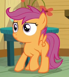 Size: 571x637 | Tagged: safe, screencap, scootaloo, pegasus, pony, bloom & gloom, g4, cropped, female, filly, foal, i've seen some shit, solo