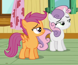 Size: 883x733 | Tagged: safe, screencap, scootaloo, sweetie belle, pegasus, pony, unicorn, bloom & gloom, g4, cropped, duo, female, filly, foal, lidded eyes, reaction image, unimpressed