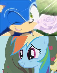 Size: 1304x1664 | Tagged: safe, edit, screencap, rainbow dash, g4, copy and paste, crossover, image macro, male, meme, rose, sonic the hedgehog, sonic the hedgehog (series), wink