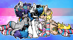 Size: 1181x646 | Tagged: safe, artist:php166, oc, oc only, oc:frozen soul, oc:palette, oc:sweater weather, pegasus, pony, clothes, cutie mark, demisexual, demisexual pride flag, flag, male, ot3, pansexual, pansexual pride flag, pride, socks, striped socks, transgender, transgender pride flag, wings