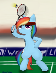 Size: 980x1280 | Tagged: safe, artist:roxandasher, rainbow dash, g4, badminton, bandana, bipedal, female, headband, shuttlecock, solo, tennis