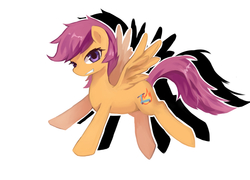 Size: 1000x720 | Tagged: safe, artist:r-1629, scootaloo, g4, female, older, pixiv, solo