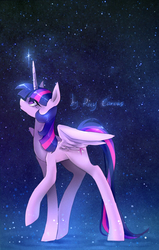 Size: 661x1039 | Tagged: safe, artist:rocy canvas, twilight sparkle, alicorn, pony, g4, female, looking up, mare, pixiv, solo, stars, twilight sparkle (alicorn)