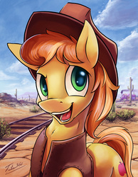 Size: 699x900 | Tagged: safe, artist:tsitra360, braeburn, earth pony, pony, g4, braebetes, cactus, clothes, cute, desert, friendship express, happy, hat, looking at you, male, open mouth, portrait, railroad, solo, tank engine, train, vest