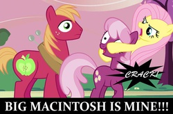 Size: 680x445 | Tagged: safe, edit, edited screencap, screencap, big macintosh, cheerilee, fluttershy, earth pony, pony, g4, hearts and hooves day (episode), abuse, abuse edit, angry, background pony strikes again, broken neck, cheeribuse, death, female, male, mare, murder, neck snap, needs more jpeg, op is a duck, op is trying to start shit, out of character, ship:cheerimac, ship:fluttermac, shipping, shipping denied, smiling, sound effects, stallion, straight, text, yandere, yandereshy
