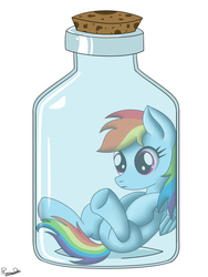 Size: 1024x1365 | Tagged: dead source, safe, artist:phoenixdash, rainbow dash, g4, bottle, cute, dashabetes, female, pony in a bottle, solo, trapped