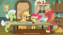 Size: 1279x713 | Tagged: safe, screencap, apple bloom, applejack, big macintosh, granny smith, earth pony, pony, bloom & gloom, g4, apple family, apple siblings, male, meme, stallion, youtube caption