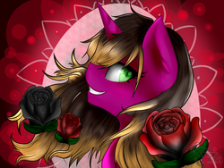 Size: 1024x768 | Tagged: safe, artist:chromadraws, oc, oc only, oc:stepz, pony, unicorn, flower, palindrome get, portrait