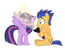 Size: 800x590 | Tagged: safe, artist:dm29, flash sentry, twilight sparkle, alicorn, pony, g4, covering, cute, female, flashlight (object), flashlight with a flashlight, grin, hoof hold, male, mare, open mouth, pun, ship:flashlight, shipping, simple background, sitting, smiling, spread wings, straight, transparent background, twilight sparkle (alicorn), visual pun, wink