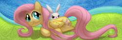 Size: 1200x400 | Tagged: safe, artist:1trick, angel bunny, fluttershy, pegasus, pony, rabbit, g4, animal, female, mare, prone