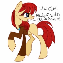 Size: 640x640 | Tagged: safe, artist:tenrose, clothes, doctor who, donna noble, ponified