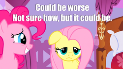 Size: 960x540 | Tagged: safe, edit, edited screencap, screencap, fluttershy, pinkie pie, g4, depressed fluttershy, duo, eeyore, image macro, meme, text