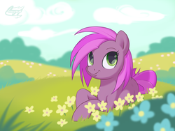 Size: 2400x1800 | Tagged: safe, oc, oc only, earth pony, pony, female, field, flower, grass, looking at you, prone, smiling, solo