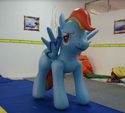 Size: 1073x971 | Tagged: safe, rainbow dash, inflatable pony, pegasus, g4, bootleg, hongyi, indoors, inflatable, inflatable pegasus, irl, opaque inflatable, photo, solo, standing