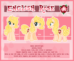 Size: 3842x3140 | Tagged: safe, artist:xwhitedreamsx, oc, oc only, oc:english rose, high res, ponysona, reference sheet