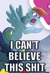 Size: 231x338 | Tagged: safe, edit, idw, rainbow dash, g4, comic, image macro, meme