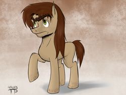 Size: 1600x1200 | Tagged: safe, artist:thethunderpony, oc, oc only, oc:gavel sternbroad, raised hoof, serious face, solo, stubble