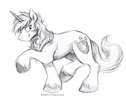 Size: 934x731 | Tagged: safe, artist:kenket, shining armor, pony, unicorn, g4, male, monochrome, nudity, sheath, sketch, solo, stallion, traditional art, unshorn fetlocks