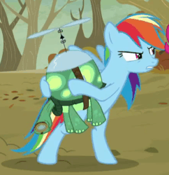 Size: 438x453 | Tagged: safe, screencap, rainbow dash, tank, pony, g4, tanks for the memories, animated, bipedal