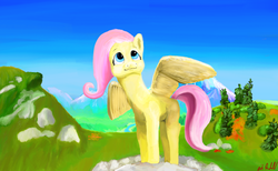 Size: 900x556 | Tagged: safe, artist:monsieurmcpherson, fluttershy, g4, female, solo