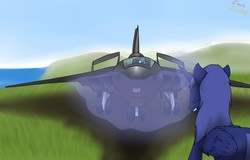 Size: 1280x821 | Tagged: safe, artist:the-furry-railfan, oc, oc only, oc:aerith, oc:night strike, alicorn, pegasus, pony, fallout equestria, fallout equestria: empty quiver, aircraft, alicorn oc, bomber, eyes closed, fanfic, fanfic art, female, glowing horn, grass, gritted teeth, hill, horn, levitation, magic, mare, ocean, story, telekinesis, vehicle, wheel, wings, xb/a-1 valkyrie
