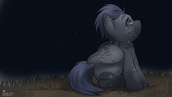 Size: 1920x1080 | Tagged: safe, artist:noben, oc, oc only, crying, night, solo, stars