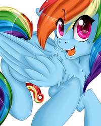 Size: 4000x5000 | Tagged: safe, artist:amberony, rainbow dash, g4, cute, dashabetes, female, fluffy, looking at you, open mouth, simple background, smiling, solo, white background