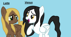 Size: 1287x669 | Tagged: safe, artist:t-mack56, compass star, mercury, starry eyes (character), g4, background pony, rule 63, venus (rule 63 mercury)