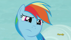 Size: 500x281 | Tagged: safe, screencap, rainbow dash, pegasus, pony, g4, season 5, tanks for the memories, animated, discovery family, discovery family logo, female, gif, mare, rainbow dash is best facemaker, solo