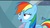 Size: 1079x603 | Tagged: safe, screencap, rainbow dash, g4, my little pony: friendship is magic, tanks for the memories, rainbow dash's house