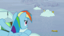 Size: 500x281 | Tagged: safe, screencap, rainbow dash, tank, g4, tanks for the memories, animated, discovery family, discovery family logo, i'll fly