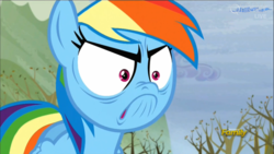 Size: 1366x768 | Tagged: safe, screencap, rainbow dash, g4, tanks for the memories, >:c, discovery family logo, do i look angry, faic, female, rage, solo