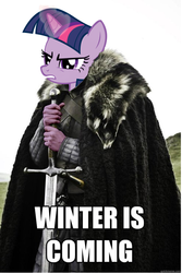 Size: 495x739 | Tagged: safe, edit, twilight sparkle, g4, tanks for the memories, brace yourselves, game of thrones, image macro, meme, spoiler, twilight starkle, winter is coming
