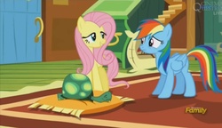 Size: 1626x936 | Tagged: safe, screencap, fluttershy, rainbow dash, tank, g4, tanks for the memories