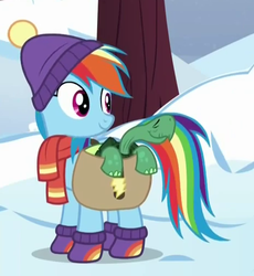 Size: 465x505 | Tagged: safe, screencap, rainbow dash, tank, g4, tanks for the memories, female, solo, winter outfit