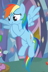 Size: 563x839 | Tagged: safe, screencap, rainbow dash, spike, pegasus, pony, g4, tanks for the memories, dragonmale, duo, female, flying, mare, scrunchy face, solo focus