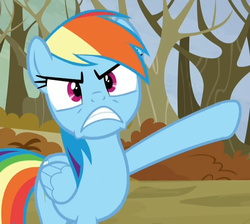 Size: 1198x1073 | Tagged: safe, screencap, rainbow dash, g4, tanks for the memories, female, solo