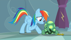 Size: 1920x1080 | Tagged: safe, screencap, rainbow dash, tank, g4, tanks for the memories