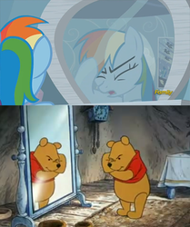 Size: 500x599 | Tagged: safe, edit, screencap, rainbow dash, bear, pegasus, pony, g4, tanks for the memories, discovery family, discovery family logo, female, logo, male, mare, meme, mirror, pooh, winnie the pooh