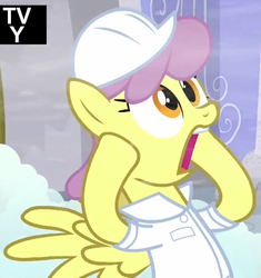 Size: 931x989 | Tagged: safe, screencap, parasol, pegasus, pony, g4, season 5, tanks for the memories, clothes, open mouth, solo, the horror