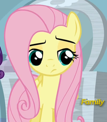 Size: 809x927 | Tagged: safe, screencap, fluttershy, g4, my little pony: friendship is magic, tanks for the memories, discovery family, discovery family logo, female, logo, solo